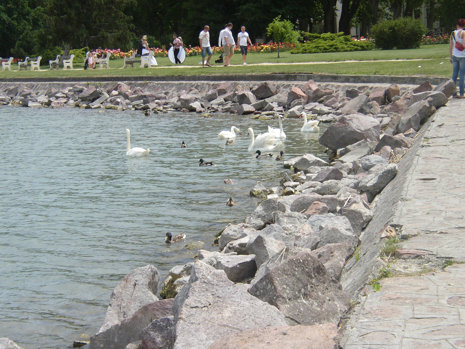 Siófok 2012 06 025