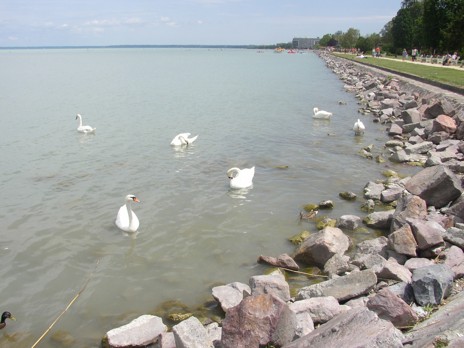 Siófok 2012 06 026