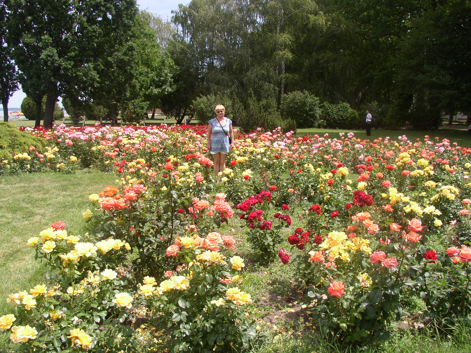 Siófok 2012 06 028