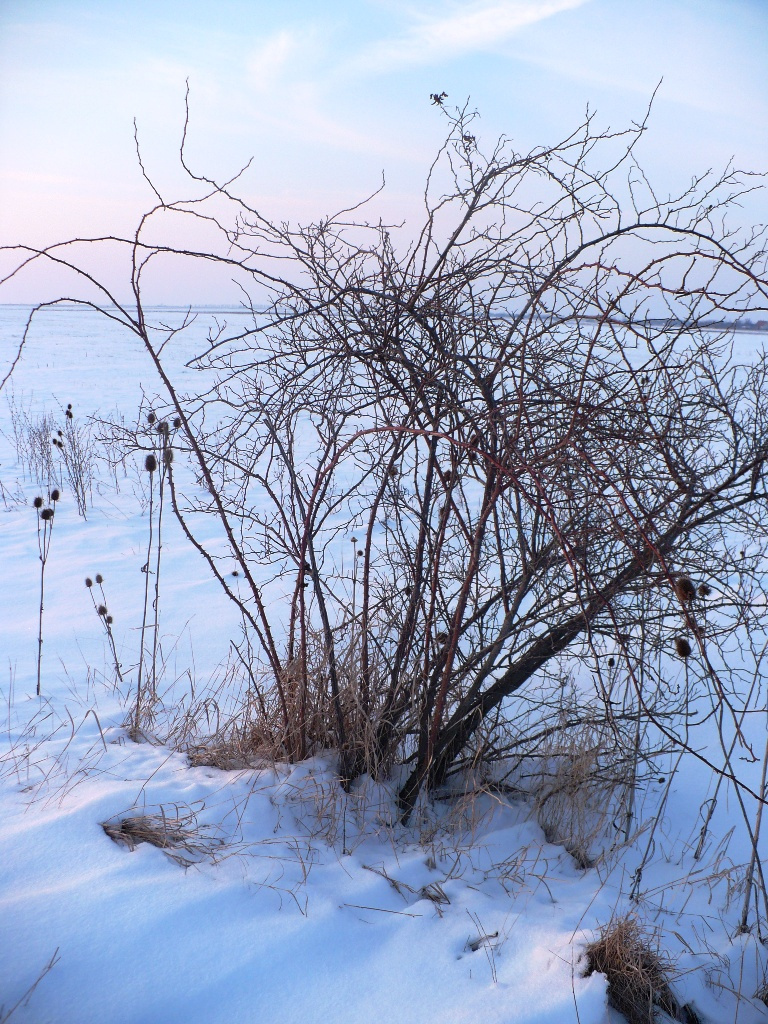 Tél-Napnyugta 149