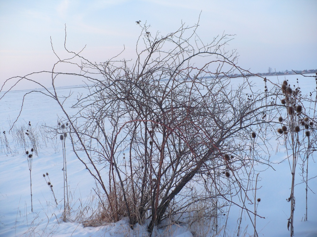 Tél-Napnyugta 162