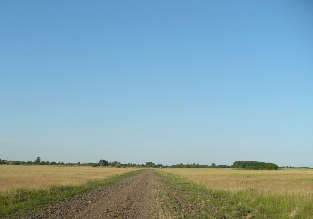 Nyár2009 063