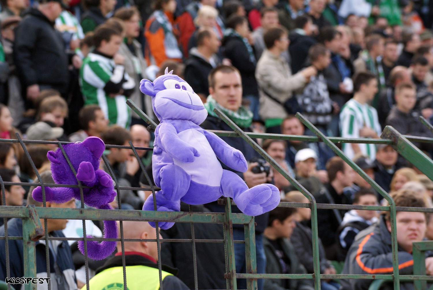 Ferencváros-Újpest