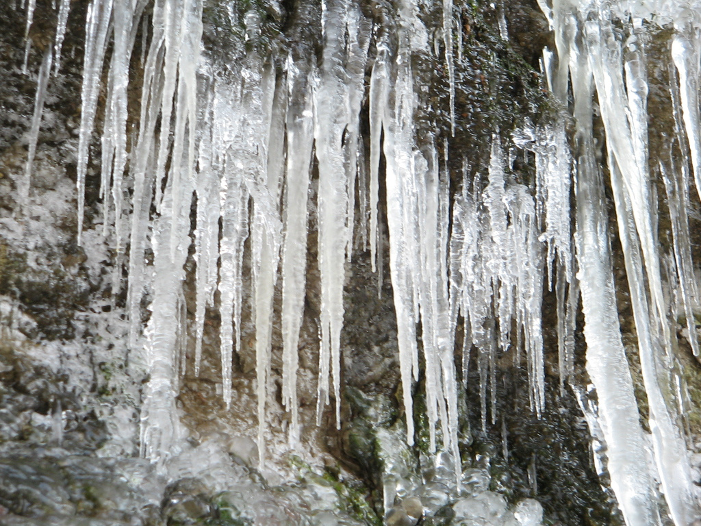 Holdvilág árok, Lajosforrás túra 2010.01.24. 017