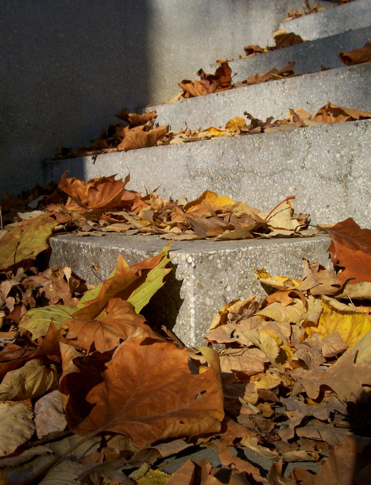 Az ősz lépcsőfokai